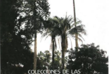 Colecciones de las palmeras de Bolivia (portada).