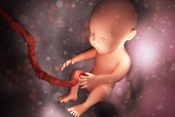 Bebé humano.