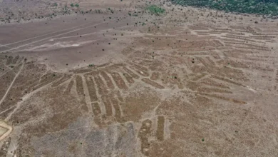 Bolivia, Lago Ginebra, 2021: plataformas de cultivo elevadas cerca del Lago Ginebra demuestran que los pueblos indígenas han prosperado en el suroeste de la Amazonía durante más de 1.000 años