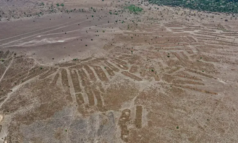 Bolivia, Lago Ginebra, 2021: plataformas de cultivo elevadas cerca del Lago Ginebra demuestran que los pueblos indígenas han prosperado en el suroeste de la Amazonía durante más de 1.000 años